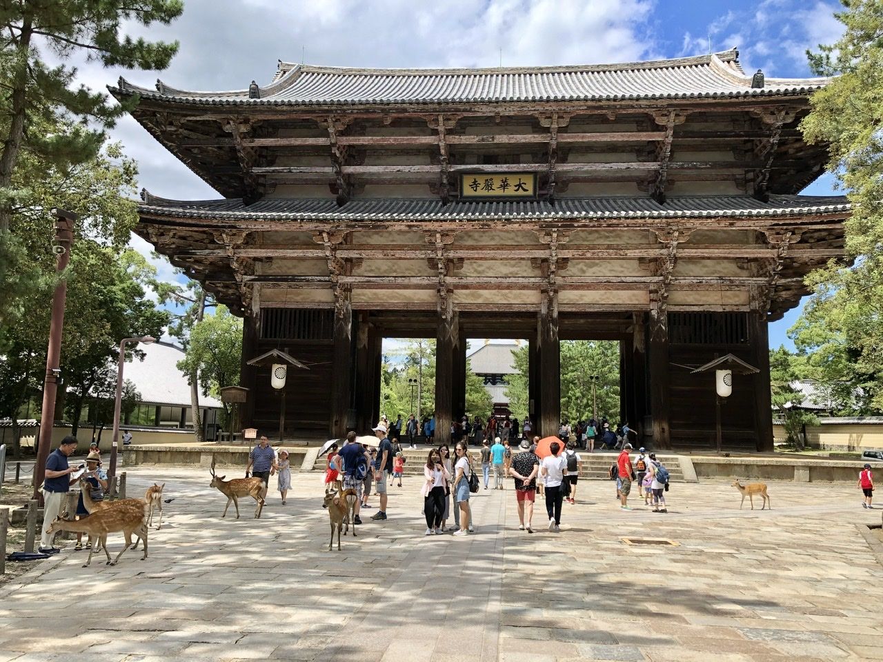 People and deer at a temple gate